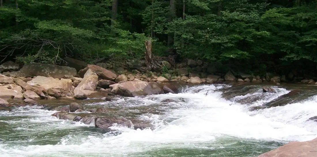 A wooded Garrett County stream flowing over rocks